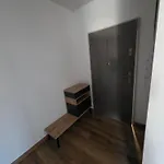 Podmiejska Nova 公寓 Kaliszki