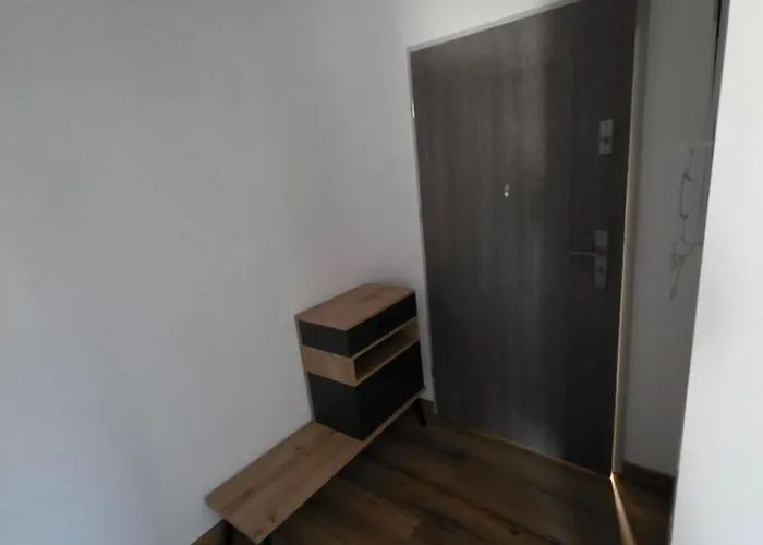 Podmiejska Nova 公寓 Kaliszki